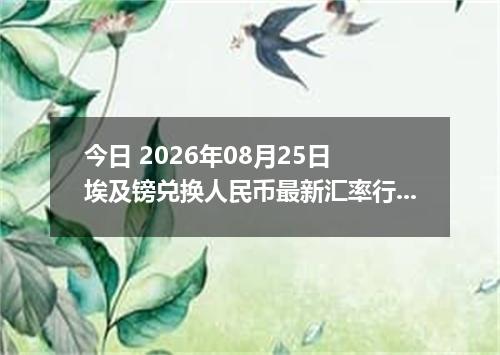 今日 2026年08月25日 埃及镑兑换人民币最新汇率行情
